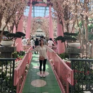 Meet your Posher, Mary